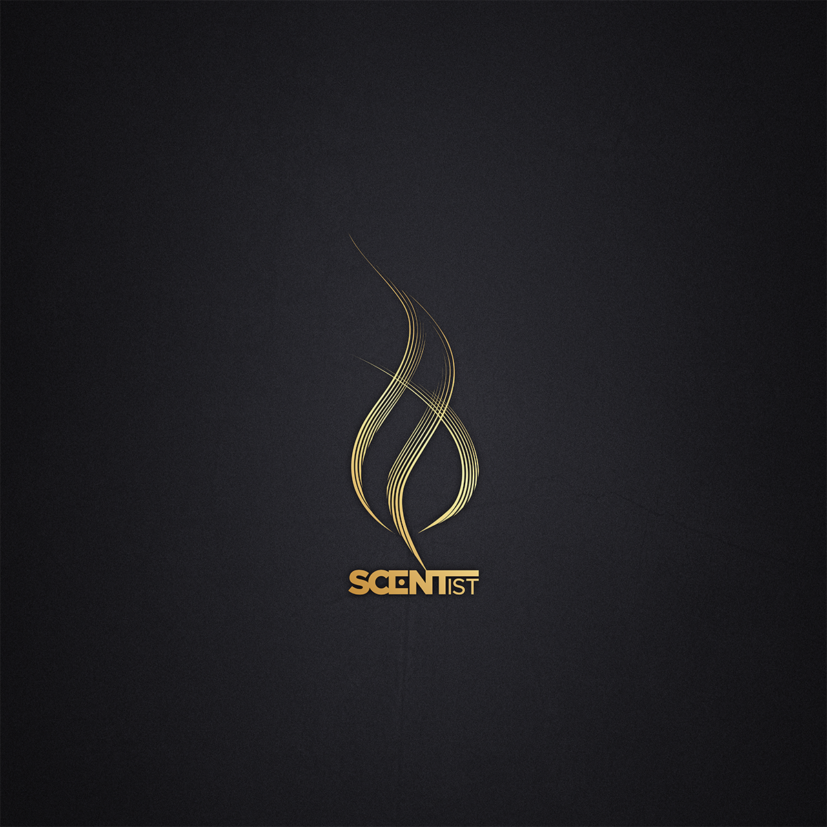 Logo Design by DoberMan for this project | Design #24664292