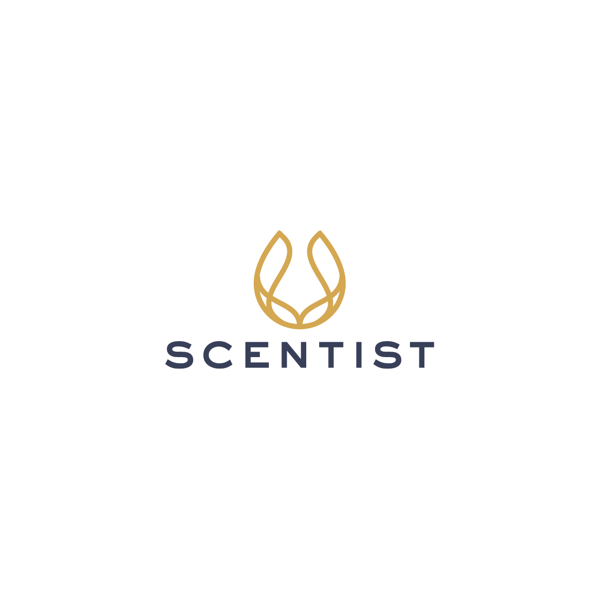 Diseño de Logo por Mojoto41 para este proyecto | Diseño #24633417