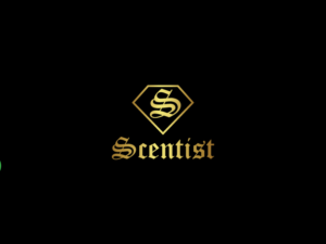 Logo Design by jisuvo8 for this project | Design: #24643171