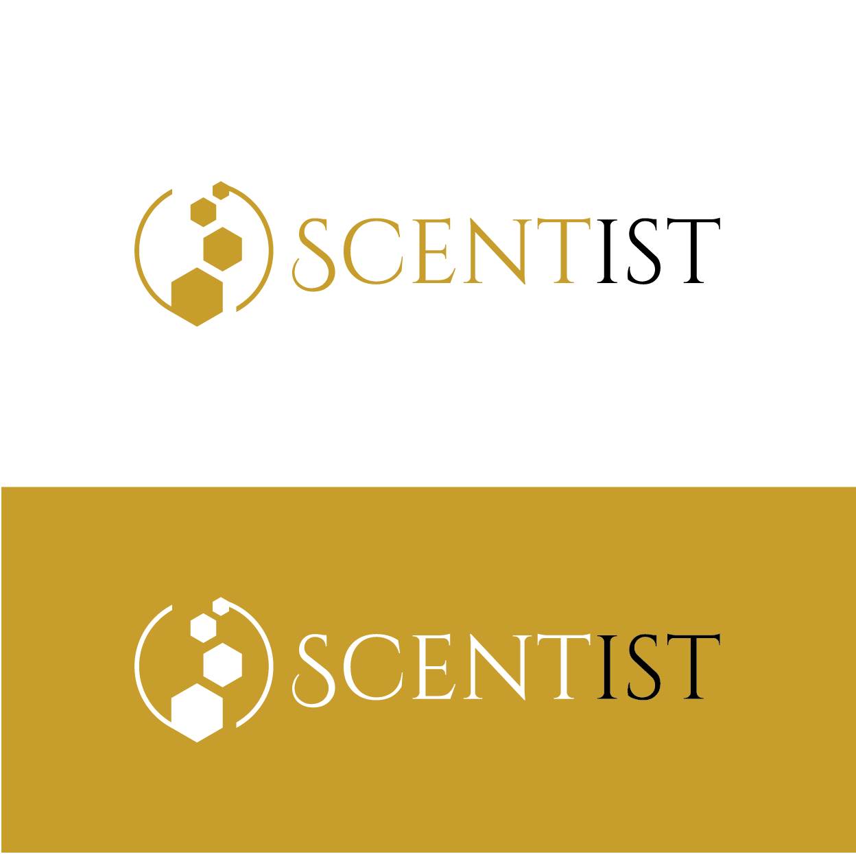 Logo Design by rozT for this project | Design #24694849