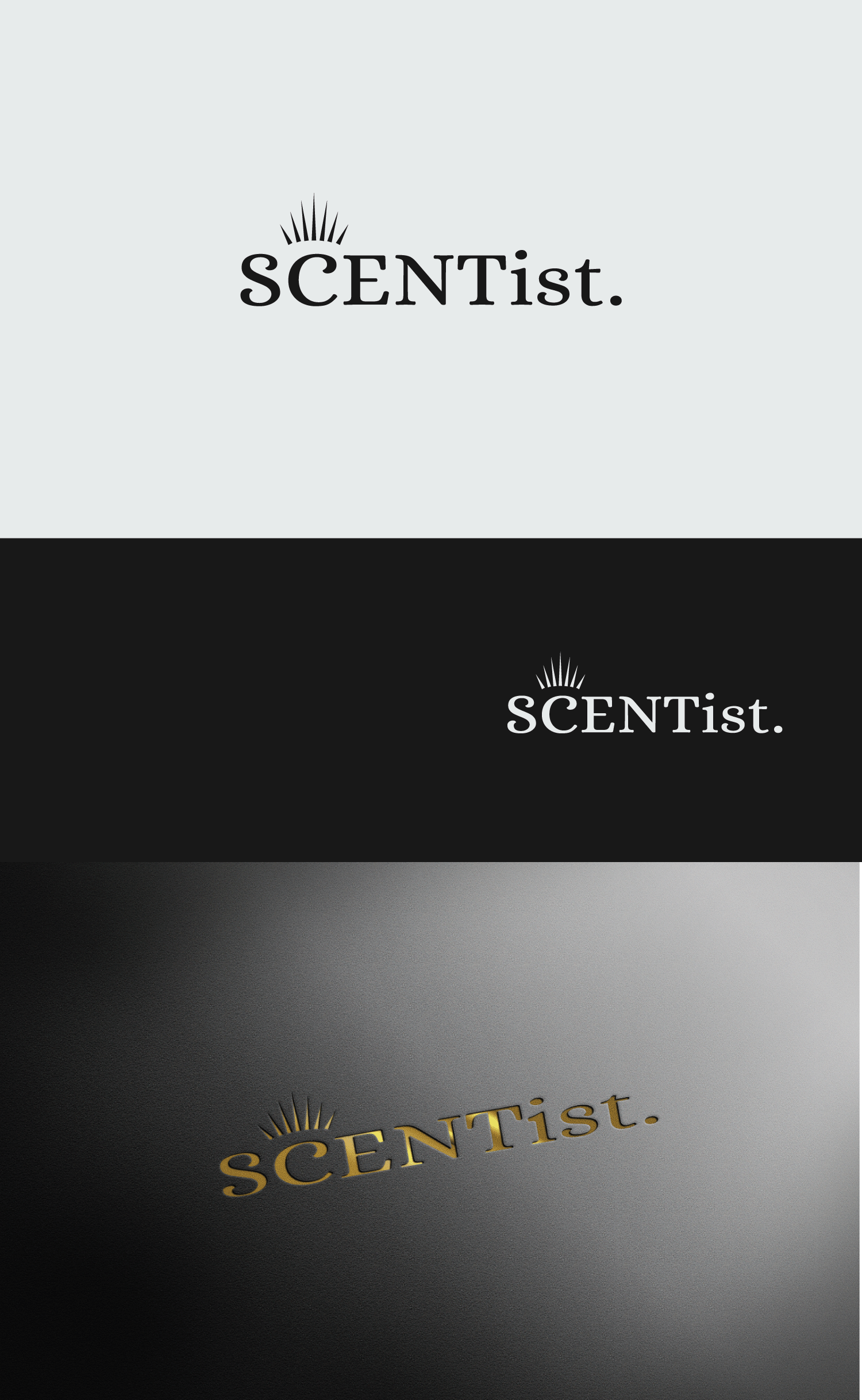 Diseño de Logo por Krevo Studio para este proyecto | Diseño #24693061