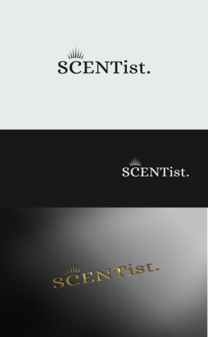 Logo Design by bright design for this project | Design: #24693061