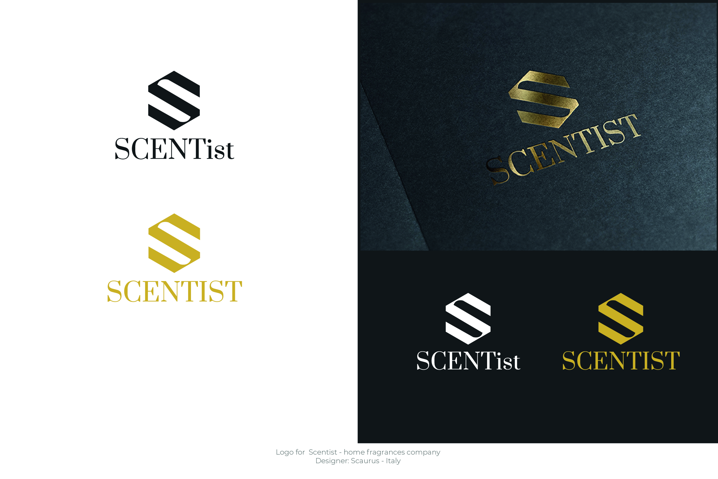 Logo Design by InkThink by Scaurus for this project | Design #24632551