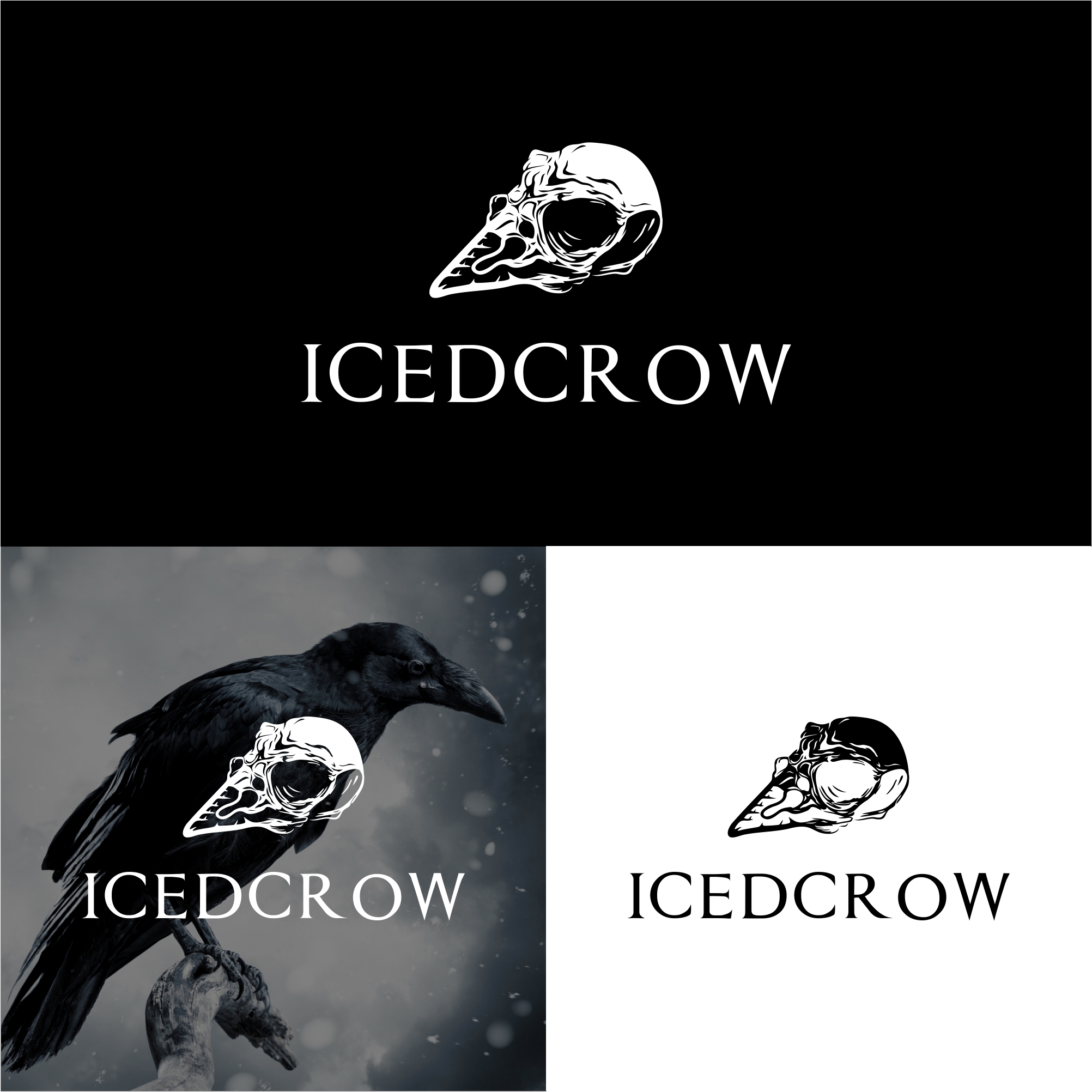 Logo Design by alitjuara for this project | Design #24646887