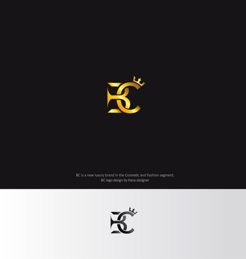 Logo Design by Hana for Bucher Investment Holding | Design #24654889