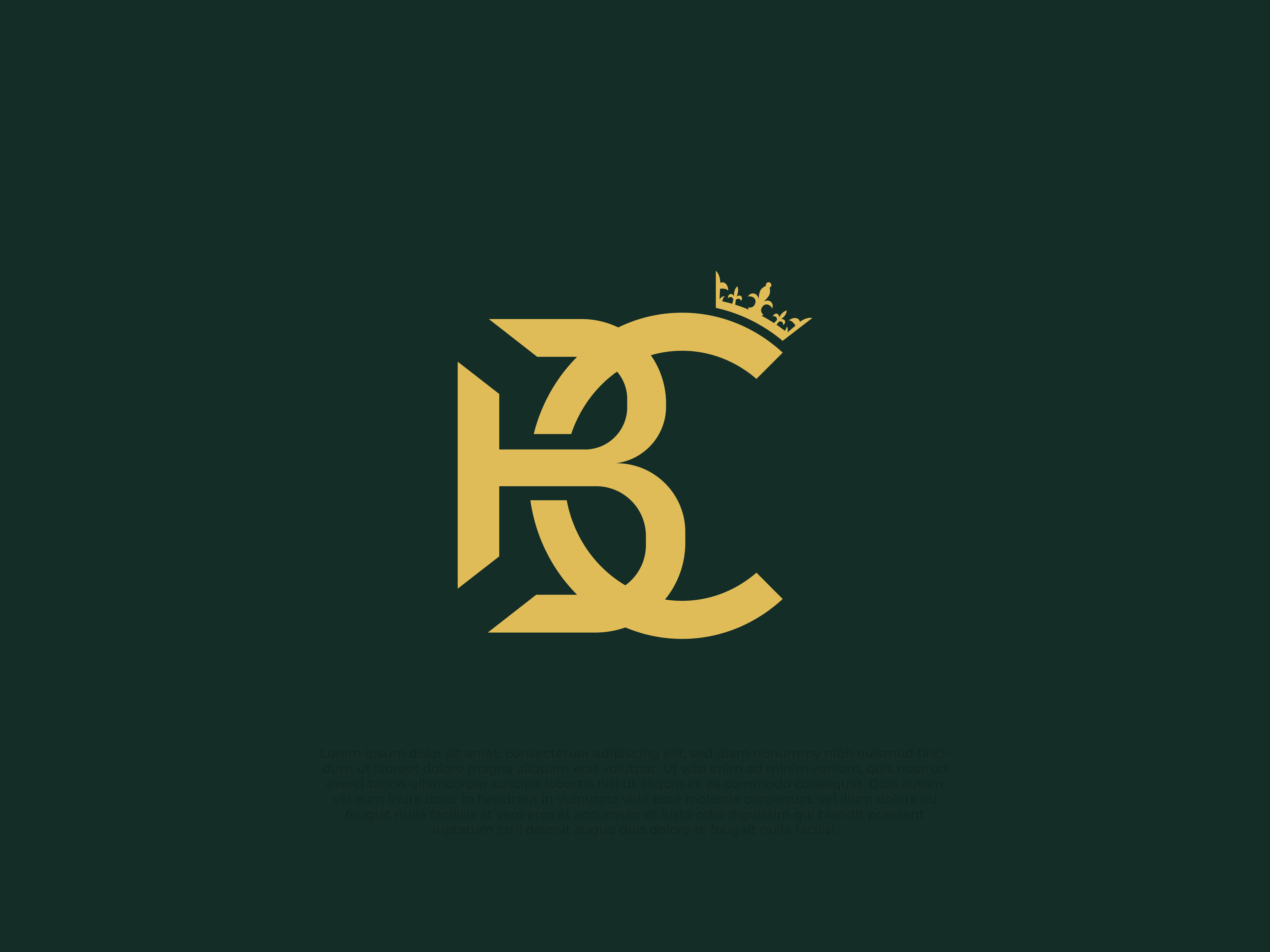 Design de Logo par Kemalmoe pour Bucher Investment Holding | Design #24656475