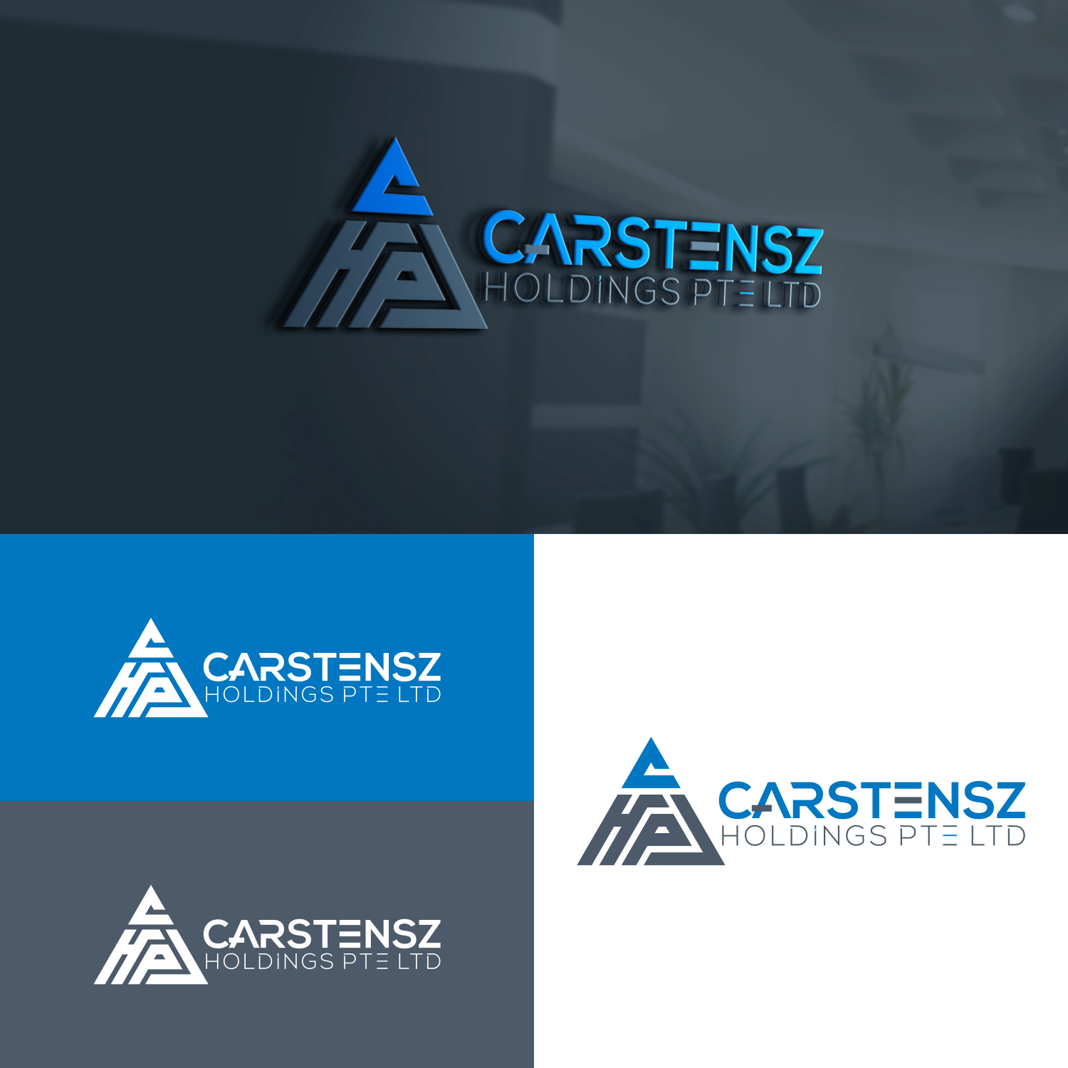Logo Design by Trestan for Carstensz Holdings Pte Ltd  | Design #24655987