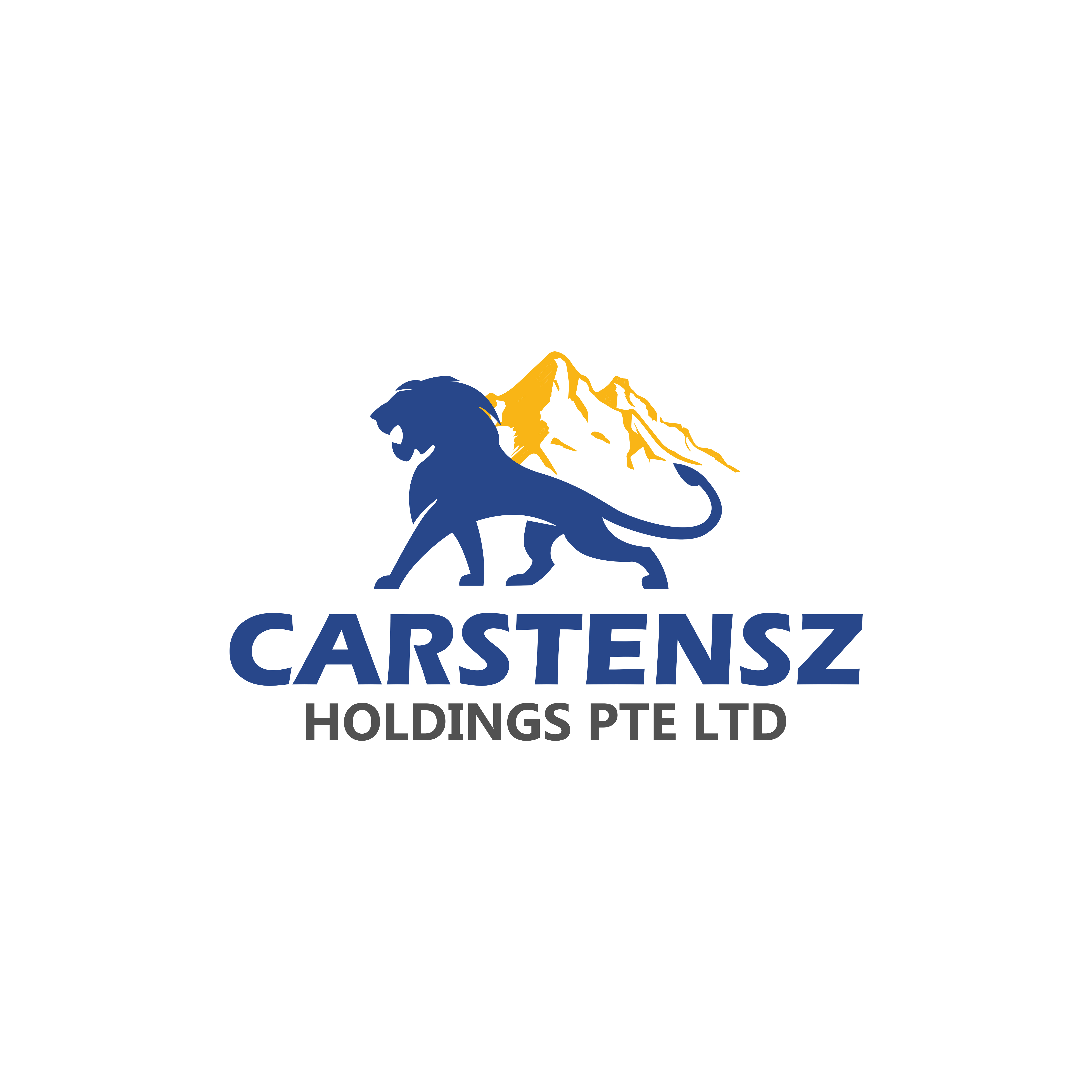 Logo Design by kenan 7 for Carstensz Holdings Pte Ltd  | Design #24675235