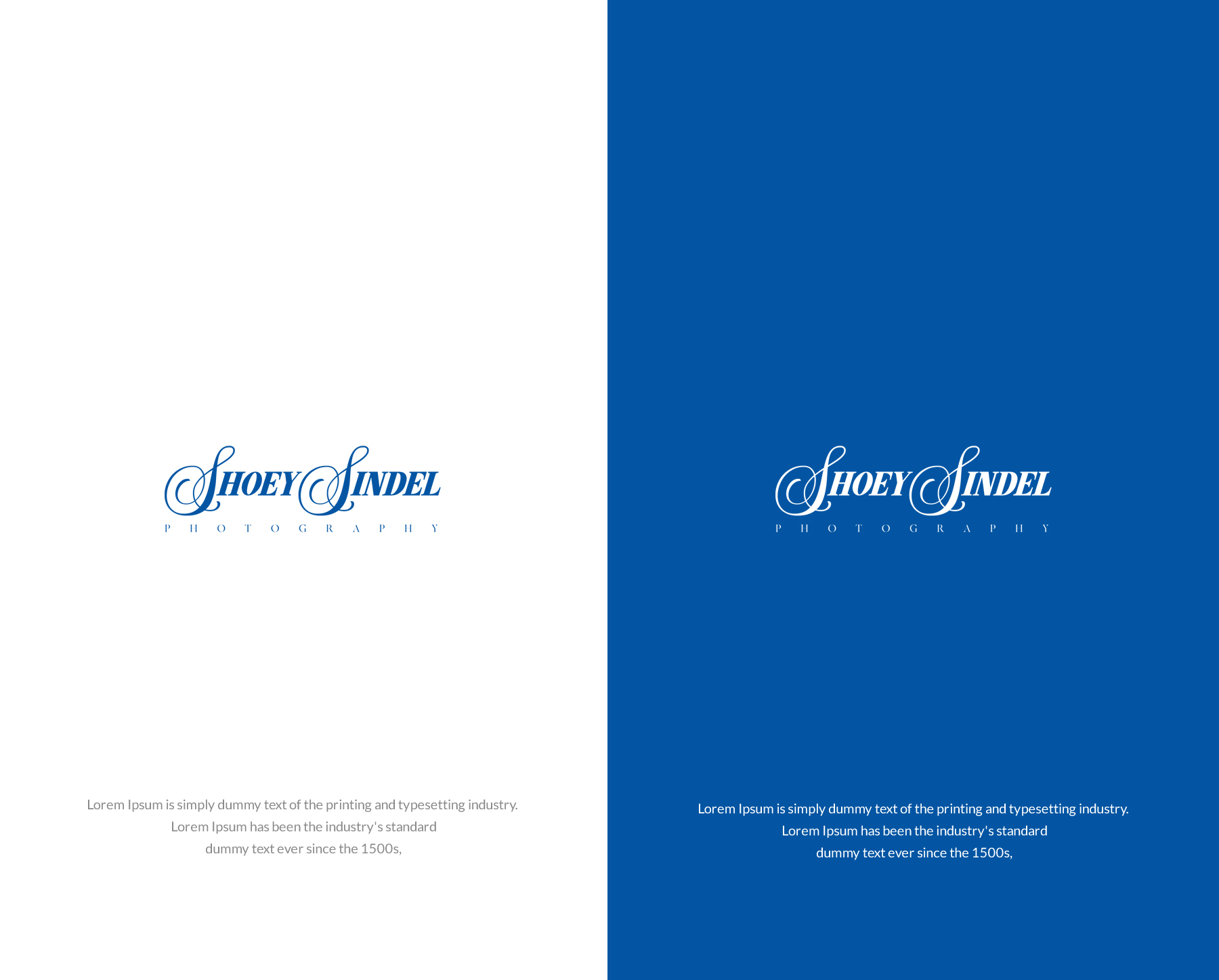 Logo Design by SL Designer for The Needle Space Labs | Design #24658234