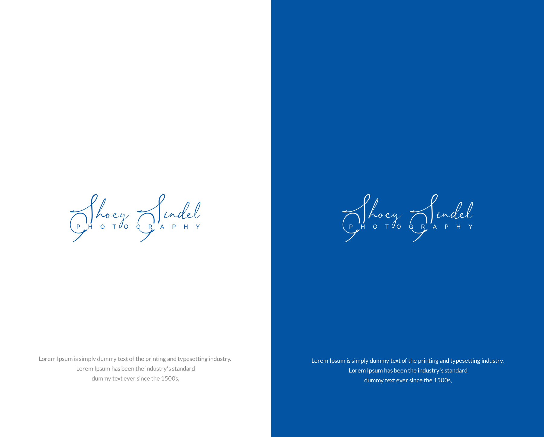 Logo Design by SL Designer for The Needle Space Labs | Design #24658249