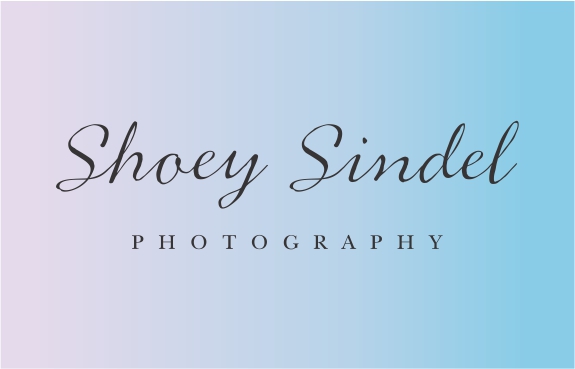 Logo Design by Wendy Elsie for The Needle Space Labs | Design #24679462