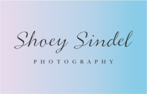 Logo Design by Wendy Elsie for The Needle Space Labs | Design: #24679462