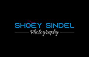 Logo Design by soulpro03 for The Needle Space Labs | Design: #24658949