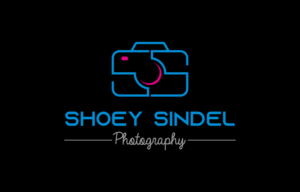 Logo Design by soulpro03 for The Needle Space Labs | Design: #24658994