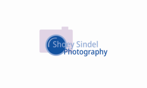 Logo Design by Tiffwg for The Needle Space Labs | Design: #24671532
