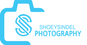 Logo Design by Ehtesham Ahmed 3 for The Needle Space Labs | Design: #24674749