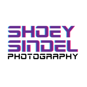 Logo Design by artcreationsstudio for The Needle Space Labs | Design: #24672266