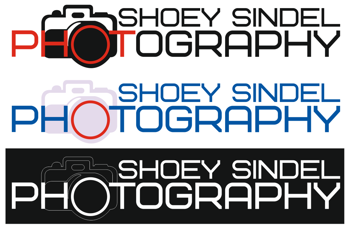 Logo-Design von chief.froloff2009 für The Needle Space Labs | Design #24660455