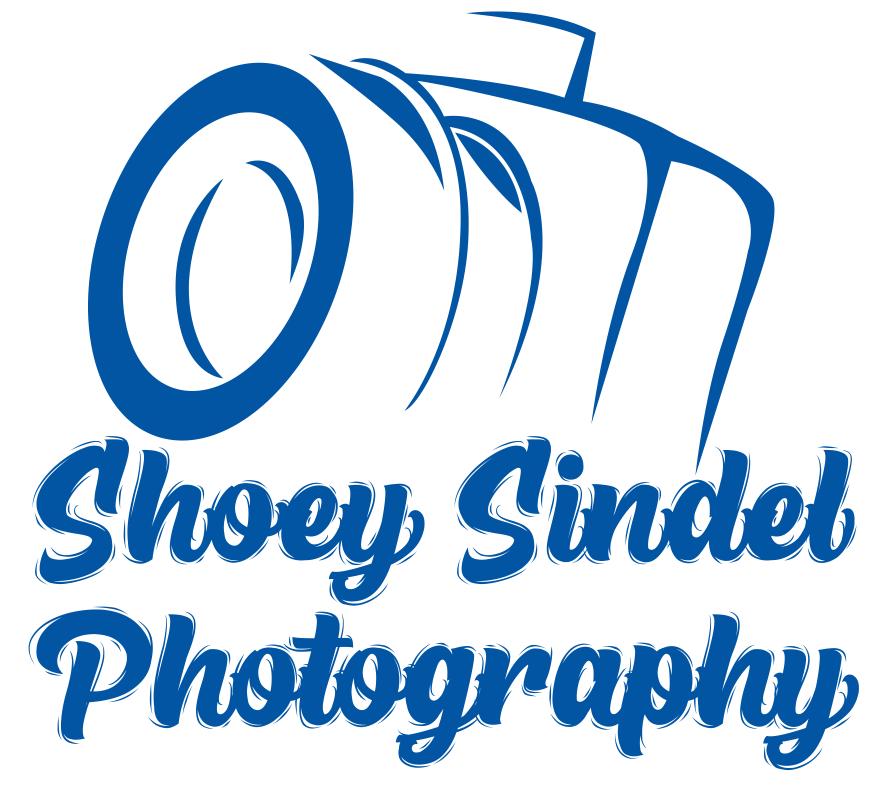 Logo-Design von chief.froloff2009 für The Needle Space Labs | Design #24661848