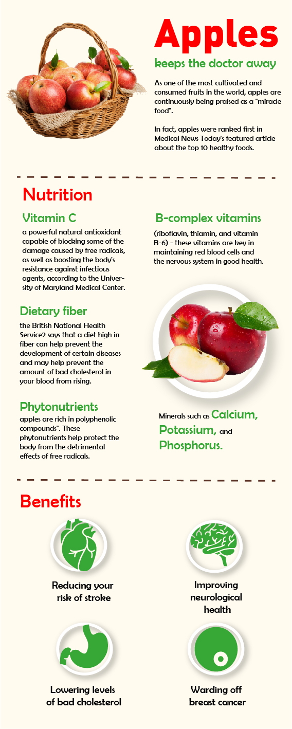 Infographic Design by DesignerGuide for this project | Design #24844679