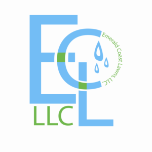 Logo Design by Dilshan 4