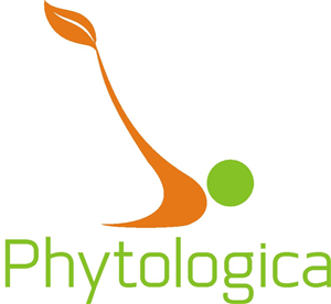 Logo Design by prestampe