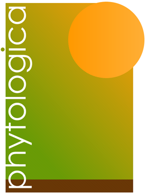 Logo Design by Alex Guimaraes