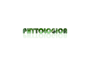 Logo Design by inspiredart for phytologica limited | Design: #66856