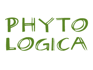 Logo Design by cluudesign