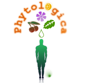 Logo Design by MiHa for phytologica limited | Design: #64207