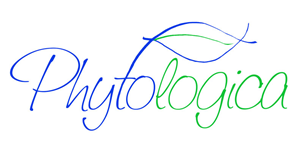 Logo Design by Jason