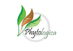 Logo Design by ReckonCreations