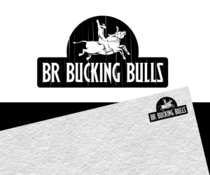 Logo Design by Jay Design