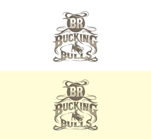 BR BUCKING BULLS | Logo Design by oxxi