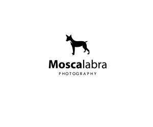 Logo Design by Tjax for this project | Design: #3020618