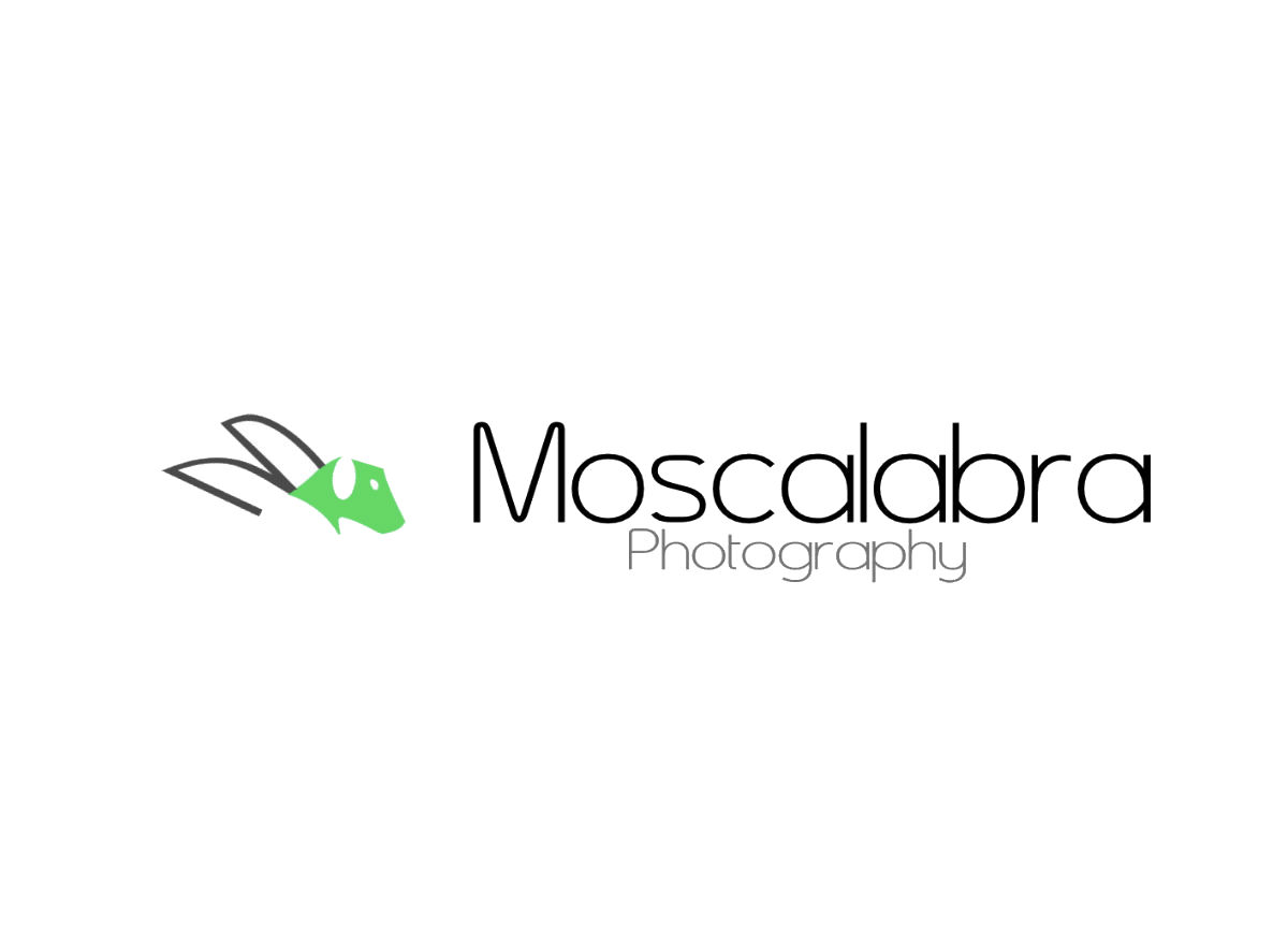 Logo Design by JoeDesign for this project | Design #3050259