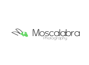 Logo Design by JoeDesign for this project | Design: #3050259