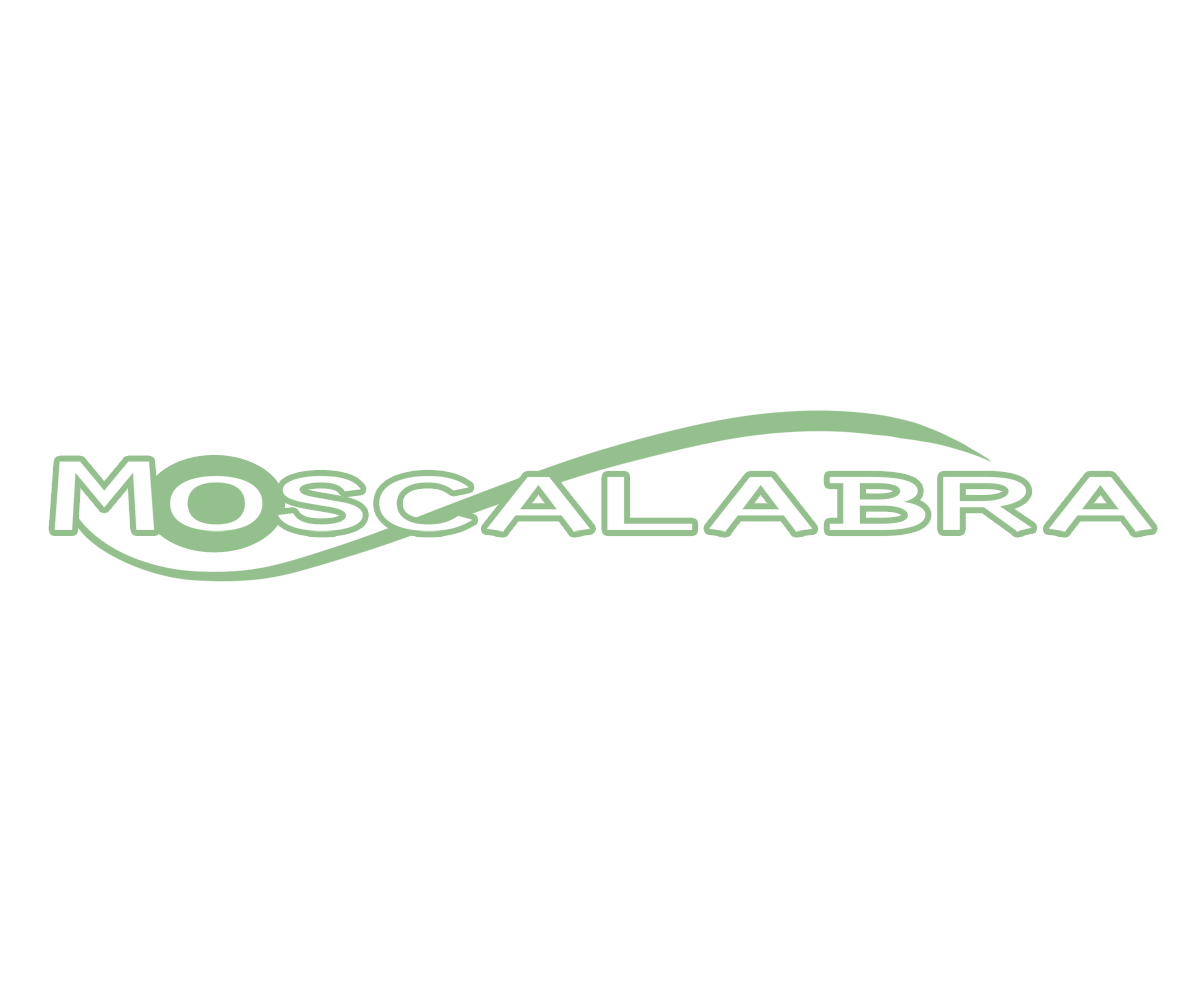 Logo Design by Sai for this project | Design #3009857
