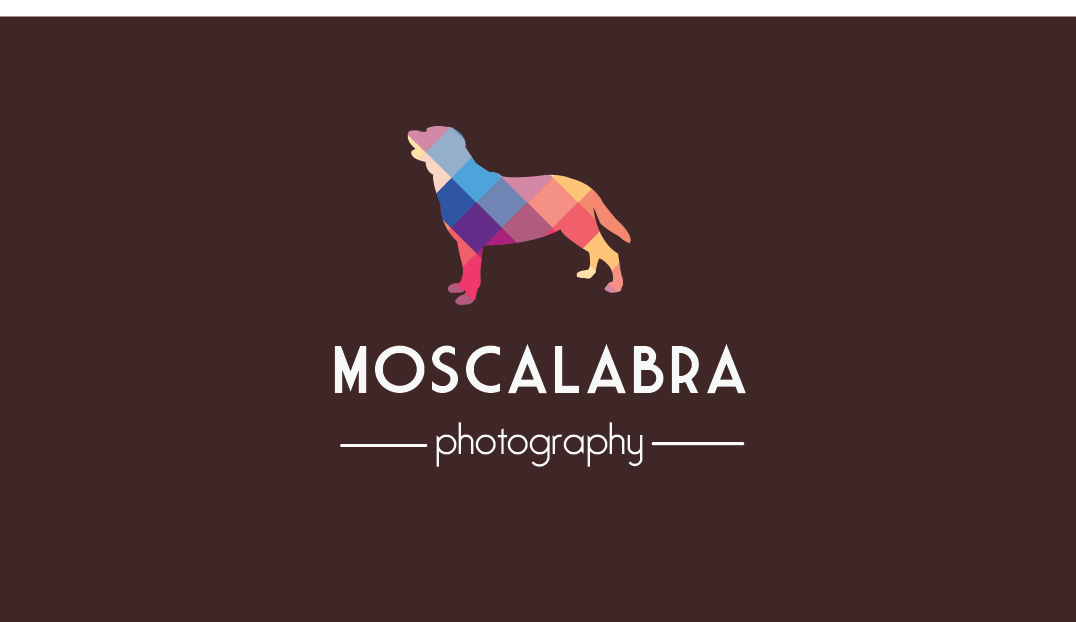Logo Design by veseuka for this project | Design #3029417