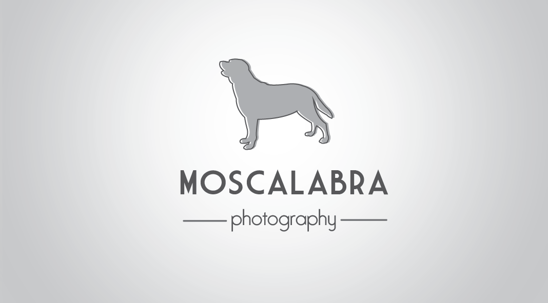 Logo Design by veseuka for this project | Design #3057313