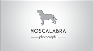 Logo Design by veseuka for this project | Design #3057313