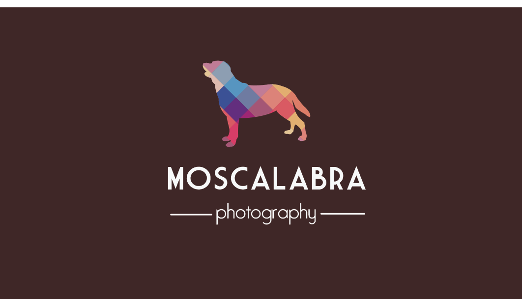 Logo Design by veseuka for this project | Design #3057314