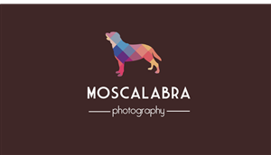 Logo Design by veseuka for this project | Design: #3057314