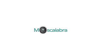 Logo Design by Designx for this project | Design: #3055726