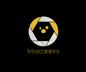 Logo Design by Bhavesh Anand
