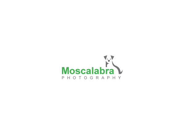 Logo Design by chuan for this project | Design #3056336