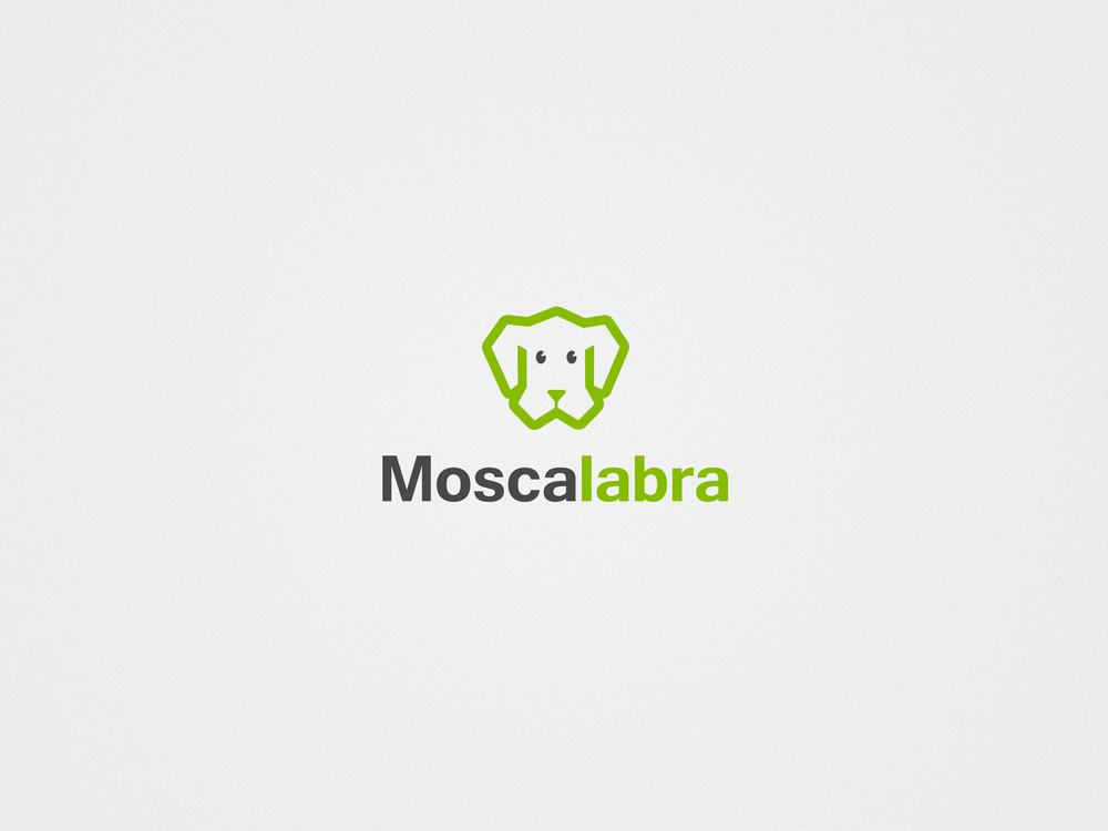 Logo Design by DiLion for this project | Design #3011674