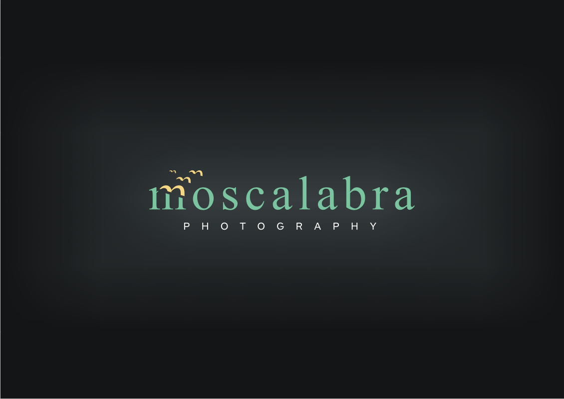Logo Design by Pak We Designs for this project | Design #3068547