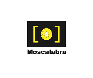 Logo Design by leebswz