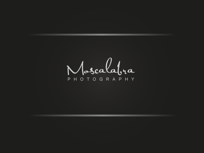 Logo Design by dan99 for this project | Design #3010551